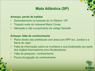 Mata Atlântica (SP)

Ameaça: perda de habitat
• Desmatamento na baixada do rio Ribeira / SP
• Traçado norte do rodoanel Mario Covas
• Alteração e não cumprimento do código florestal

Ameaça: falta de conhecimento
• Plano diretor das prefeituras com área com APP (ex. Jundiaí e a
  Serra do Japi)
• Falta de informação sobre os rivulídeos e sua localização por parte
  dos órgãos licenciadores e/ou fiscalizadores
• Falta de pesquisa / conhecimento
• Pouca divulgação do conhecimento
 