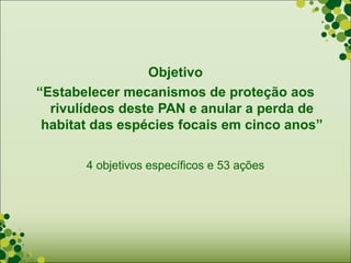 Objetivo
“Estabelecer mecanismos de proteção aos
  rivulídeos deste PAN e anular a perda de
 habitat das espécies focais em cinco anos”

       4 objetivos específicos e 53 ações
 