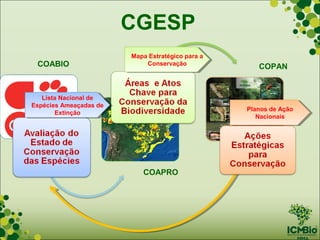 CGESP
                         Mapa Estratégico para aa
                         Mapa Estratégico para
 COABIO                      Conservação
                              Conservação              COPAN


   Lista Nacional de
    Lista Nacional de
Espécies Ameaçadas de
 Espécies Ameaçadas de                              Planos de Ação
                                                     Planos de Ação
        Extinção
         Extinção                                      Nacionais
                                                        Nacionais




                            COAPRO
 