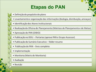 Etapas do PAN
 