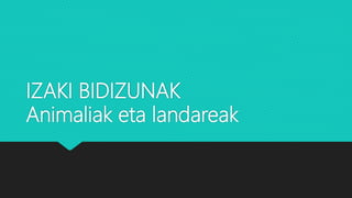 IZAKI BIDIZUNAK
Animaliak eta landareak
 