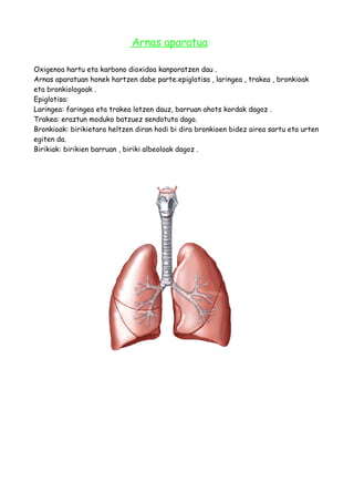 Arnas aparatua
Oxigenoa hartu eta karbono dioxidoa kanporatzen dau .
Arnas aparatuan honek hartzen dabe parte:epiglotisa , laringea , trakea , bronkioak
eta bronkiologoak .
Epiglotisa:
Laringea: faringea eta trakea lotzen dauz, barruan ahots kordak dagoz .
Trakea: eraztun moduko batzuez sendotuta dago.
Bronkioak: birikietara heltzen diran hodi bi dira bronkioen bidez airea sartu eta urten
egiten da.
Birikiak: birikien barruan , biriki albeoloak dagoz .
 