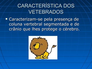 CARACTERÍSTICA DOS
           VETEBRADOS
   Caracterizam-se pela presença de
    coluna vertebral segmentada e de
    crânio que lhes protege o cérebro.
 