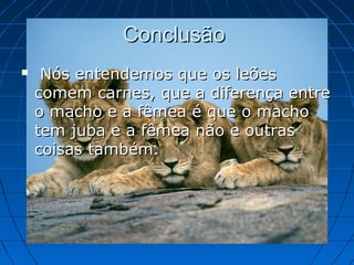 Conclusão
    Nós entendemos que os leões
    comem carnes, que a diferença entre
    o macho e a fêmea é que o macho
    tem juba e a fêmea não e outras
    coisas também.
 