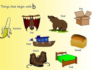 Flashcards and posters B b