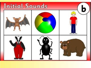 Flashcards and posters B b