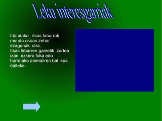 I rlandako  itsas labarrak  mundu osoan zehar  ezagunak  dira.  Itsas labarren gainetik  zortea izan  ezkero foka edo horrelako animaliren bat ikus daiteke. Leku interesgarriak 
