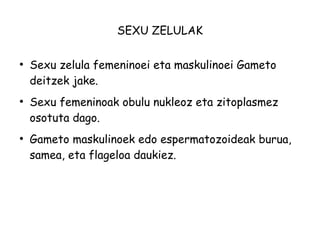 SEXU ZELULAK 
● Sexu zelula femeninoei eta maskulinoei Gameto 
deitzek jake. 
● Sexu femeninoak obulu nukleoz eta zitoplasmez 
osotuta dago. 
● Gameto maskulinoek edo espermatozoideak burua, 
samea, eta flageloa daukiez. 
 