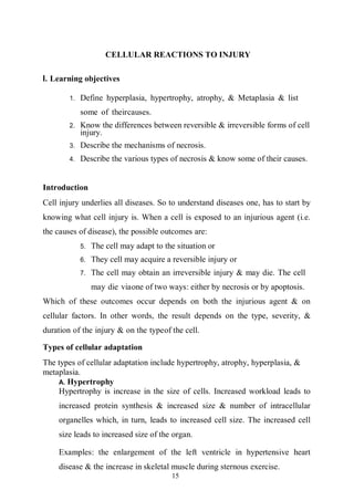15
CELLULAR REACTIONS TO INJURY
I. Learning objectives
1. Define hyperplasia, hypertrophy, atrophy, & Metaplasia & list
some of theircauses.
2. Know the differences between reversible & irreversible forms of cell
injury.
3. Describe the mechanisms of necrosis.
4. Describe the various types of necrosis & know some of their causes.
Introduction
Cell injury underlies all diseases. So to understand diseases one, has to start by
knowing what cell injury is. When a cell is exposed to an injurious agent (i.e.
the causes of disease), the possible outcomes are:
5. The cell may adapt to the situation or
6. They cell may acquire a reversible injury or
7. The cell may obtain an irreversible injury & may die. The cell
may die viaone of two ways: either by necrosis or by apoptosis.
Which of these outcomes occur depends on both the injurious agent & on
cellular factors. In other words, the result depends on the type, severity, &
duration of the injury & on the typeof the cell.
Types of cellular adaptation
The types of cellular adaptation include hypertrophy, atrophy, hyperplasia, &
metaplasia.
A. Hypertrophy
Hypertrophy is increase in the size of cells. Increased workload leads to
increased protein synthesis & increased size & number of intracellular
organelles which, in turn, leads to increased cell size. The increased cell
size leads to increased size of the organ.
Examples: the enlargement of the left ventricle in hypertensive heart
disease & the increase in skeletal muscle during sternous exercise.
 