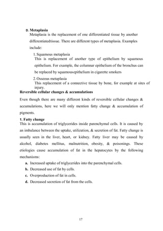 17
D. Metaplasia
Metaplasia is the replacement of one differentiated tissue by another
differentiatedtissue. There are different types of metaplasia. Examples
include:
1. Squamous metaplasia
This is replacement of another type of epithelium by squamous
epithelium. For example, the columnar epithelium of the bronchus can
be replaced by squamousepithelium in cigarette smokers
2. Osseous metaplasia
This replacement of a connective tissue by bone, for example at sites of
injury.
Reversible cellular changes & accumulations
Even though there are many different kinds of reversible cellular changes &
accumulations, here we will only mention fatty change & accumulation of
pigments.
1. Fatty change
This is accumulation of triglycerides inside parenchymal cells. It is caused by
an imbalance between the uptake, utilization, & secretion of fat. Fatty change is
usually seen in the liver, heart, or kidney. Fatty liver may be caused by
alcohol, diabetes mellitus, malnutrition, obesity, & poisonings. These
etiologies cause accumulation of fat in the hepatocytes by the following
mechanisms:
a. Increased uptake of triglycerides into the parenchymal cells.
b. Decreased use of fat by cells.
c. Overproduction of fat in cells.
d. Decreased secretion of fat from the cells.
 