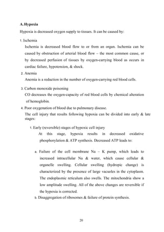 20
A.Hypoxia
Hypoxia is decreased oxygen supply to tissues. It can be caused by:
1. Ischemia
Ischemia is decreased blood flow to or from an organ. Ischemia can be
caused by obstruction of arterial blood flow – the most common cause, or
by decreased perfusion of tissues by oxygen-carrying blood as occurs in
cardiac failure, hypotension, & shock.
2. Anemia
Anemia is a reduction in the number of oxygen-carrying red blood cells.
3. Carbon monoxide poisoning
CO decreases the oxygen-capacity of red blood cells by chemical alteration
of hemoglobin.
4. Poor oxygenation of blood due to pulmonary disease.
The cell injury that results following hypoxia can be divided into early & late
stages:
1. Early (reversible) stages of hypoxic cell injury
At this stage, hypoxia results in decreased oxidative
phosphorylation & ATP synthesis. Decreased ATP leads to:
a. Failure of the cell membrane Na – K pump, which leads to
increased intracellular Na & water, which cause cellular &
organelle swelling. Cellular swelling (hydropic change) is
characterized by the presence of large vacuoles in the cytoplasm.
The endoplasmic reticulum also swells. The mitochondria show a
low amplitude swelling. All of the above changes are reversible if
the hypoxia is corrected.
b. Disaggregation of ribosomes & failure of protein synthesis.
 