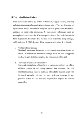 22
B.Free radical-induced injury
Free radicals are formed by normal metabolism, oxygen toxicity, ionizing
radiation, & drugs & chemicals, & reperfusion injury. They are degraded by
spontaneous decay, intracellular enzymes such as glutathione peroxidase,
catalase, or superoxide dismutase, & endogenous substances such as
ceruloplasmin or transferrin. When the production of free radicals exceeds
their degradation, the excess free radicals cause membrane pump damage,
ATP depletion, & DNA damage. These can cause cell injury & cell death.
a. Cell membrane damage
Direct cell membrane damage as in extremes of temprature, toxins, or
viruses, or indirect cell membrane damage as in the case of hypoxia
can lead to cell deathby disrupting the homeostasis of the cell.
b. Increased intracellular calcium level
Increased intracellular calcium level is a common pathway via which
different causes of cell injury operate. For example, the cell
membrane damage leads to increased intracellular calcium level. The
increased cytosolic calcium, in turn, activates enzymes in the
presence of low pH. The activated enzymes will degrade the cellular
organelles.
 