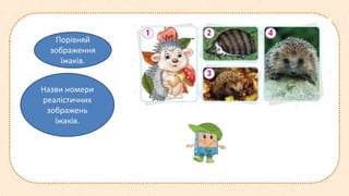 Порівняй
зображення
їжаків.
Назви номери
реалістичних
зображень
їжаків.
 