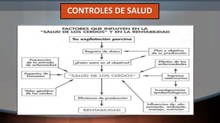 CONTROLES DE SALUD
 