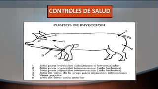 CONTROLES DE SALUD
 
