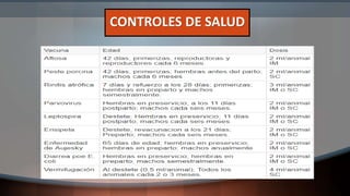 CONTROLES DE SALUD
 