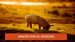 GRACIAS POR SU ATENCION
 