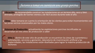 factores a tomar en cuenta en una granja porcina
 Ubicación: es recomendable construir las instalaciones en un terreno alto, seco y bien
drenado, protegido de fuertes vientos y de fácil acceso durante todo el año.
 Clima: debe tomarse en cuenta la orientación de los vientos para evitar inconvenientes con
las zonas vecinas ocasionados por los malos olores.
 Sistemas de Producción: actualmente las explotaciones porcinas tecnificadas se
desarrollan en tres sitios de producción a saber
• Sitio 1: dentro de este sitio de producción se encuentran las áreas de cuarentena y
aclimatación, servicios y gestación, laboratorio de inseminación artificial y las
maternidades, las instalaciones están diseñadas para lograr la máxima producción de
lechones
 