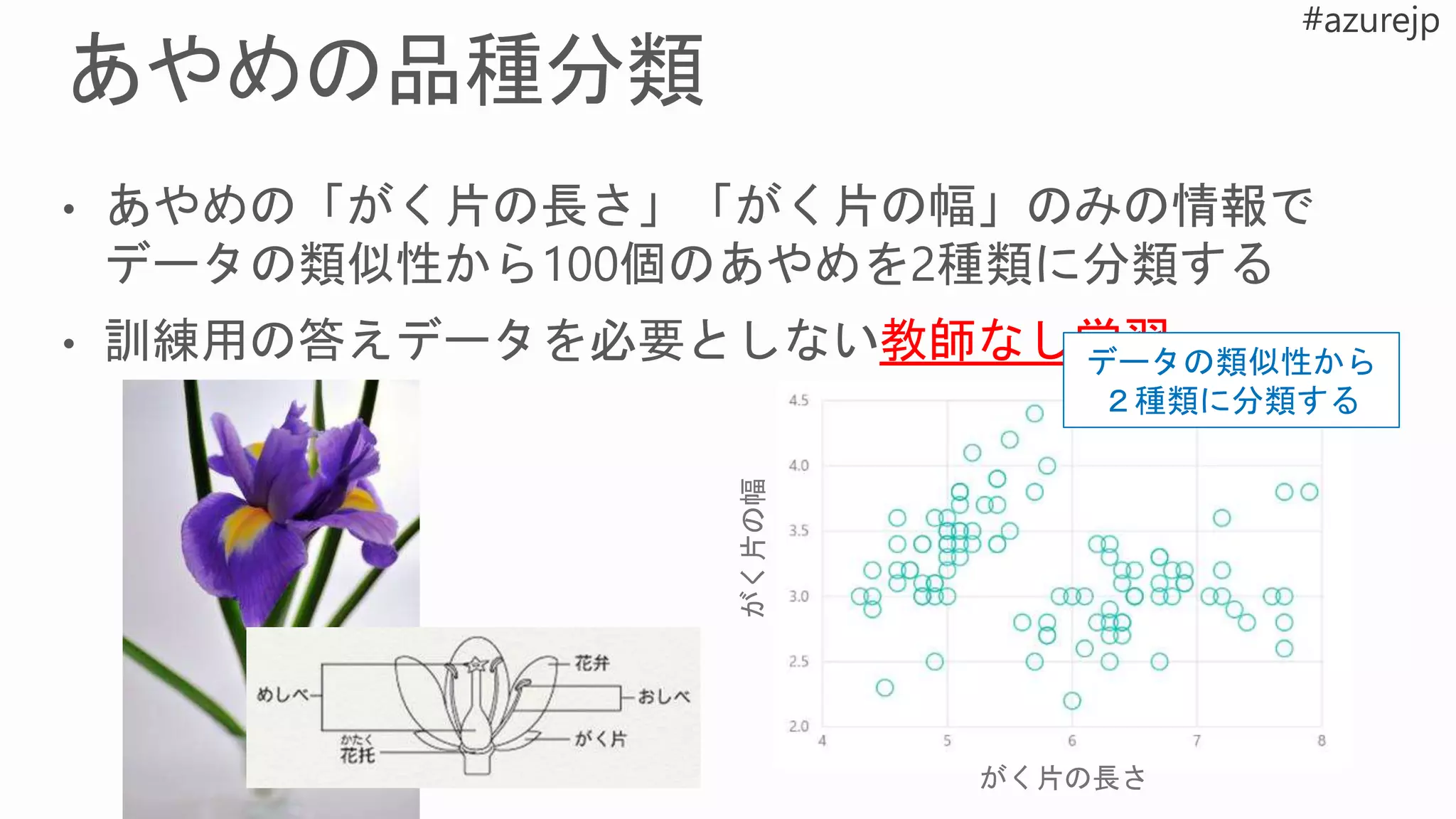 がく片の幅
がく片の長さ
データの類似性から
２種類に分類する
 