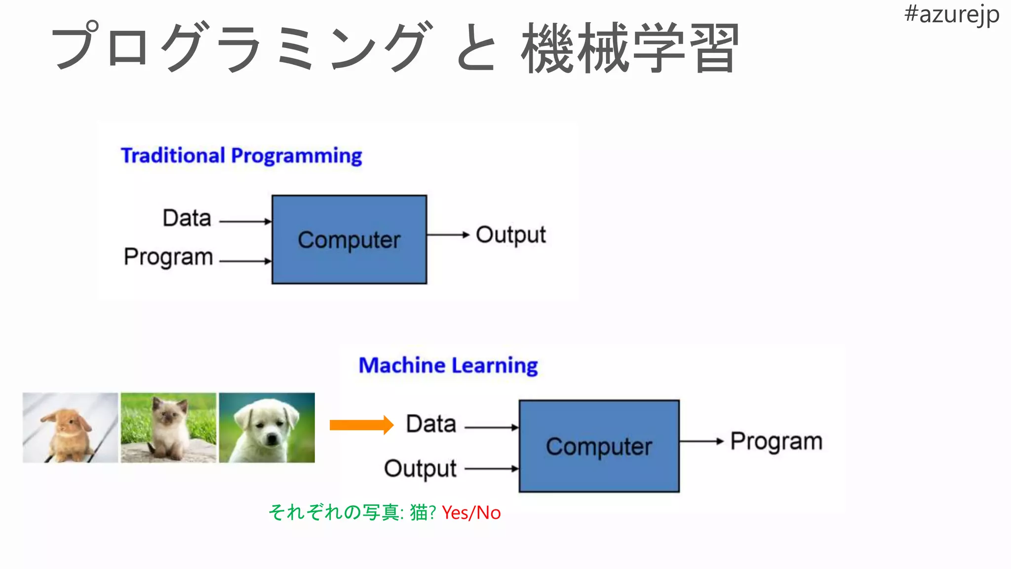 それぞれの写真: 猫? Yes/No
 