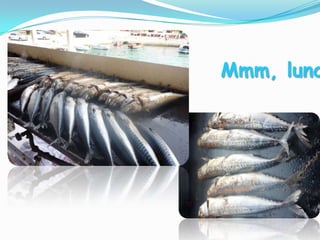 Continuing the journey...