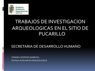 TRABAJOS DE INVESTIGACION
ARQUEOLOGICAS EN EL SITIO DE
PUCARILLO
SECRETARIA DE DESARROLLO HUMANO
YOMARA CESPEDES BARBOZA
TECNICA AUXILIAR EN ARQUEOLOGICA
 