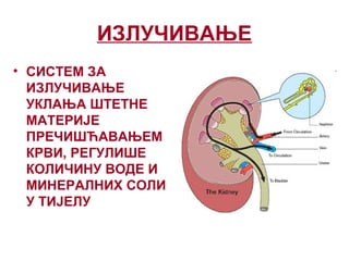Izlucivanje | PPT