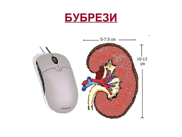Izlucivanje