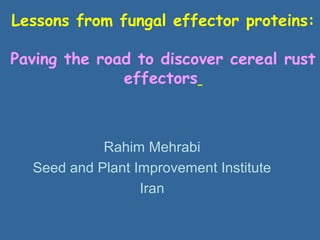 Lessons from fungal effector proteins:
Paving the road to discover cereal rust
effectors
Rahim Mehrabi
Seed and Plant Improvement Institute
Iran
 