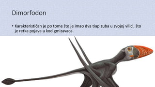 Dimorfodon
• Karakterističan je po tome što je imao dva tiap zuba u svojoj vilici, što
je retka pojava u kod gmizavaca.
 