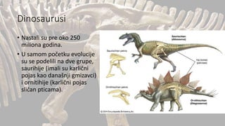 Dinosaurusi
• Nastali su pre oko 250
miliona godina.
• U samom početku evolucije
su se podelili na dve grupe,
saurihije (imali su karlični
pojas kao današnji gmizavci)
i ornitihije (karlični pojas
sličan pticama).
 