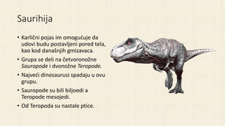 Saurihija
• Karlični pojas im omogućuje da
udovi budu postavljeni pored tela,
kao kod današnjih gmizavaca.
• Grupa se deli na četvoronožne
Sauropode i dvonožne Teropode.
• Najveći dinosaurusi spadaju u ovu
grupu.
• Sauropode su bili biljoedi a
Teropode mesojedi.
• Od Teropoda su nastale ptice.
 