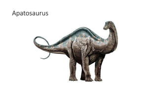 Apatosaurus
 