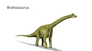 Brahiosaurus
 