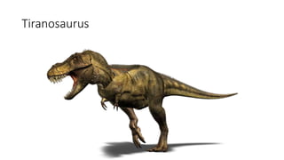 Tiranosaurus
 