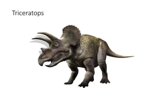 Triceratops
 