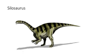 Silosaurus
 