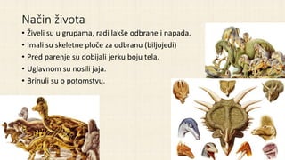 Način života
• Živeli su u grupama, radi lakše odbrane i napada.
• Imali su skeletne ploče za odbranu (biljojedi)
• Pred parenje su dobijali jerku boju tela.
• Uglavnom su nosili jaja.
• Brinuli su o potomstvu.
 