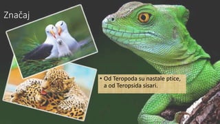 Značaj
• Od Teropoda su nastale ptice,
a od Teropsida sisari.
 