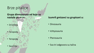 Brze pitalice
Grupa dinosaurusa od koje su
nastale ptice su:
• Ornitihija
• Teropoda
• Teropsida
• Saurihija
Izumrli gmizavci su grupisani u:
• Dinosauria
• Ichtyosauria
• Pterosauria
• Sva tri odgovora su tačna
 