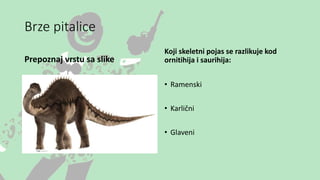 Brze pitalice
Prepoznaj vrstu sa slike
Koji skeletni pojas se razlikuje kod
ornitihija i saurihija:
• Ramenski
• Karlični
• Glaveni
 