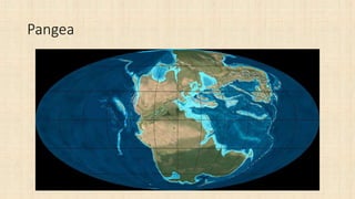 Pangea
 