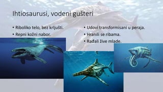 Ihtiosaurusi, vodeni gušteri
• Riboliko telo, bez krljušti.
• Repni kožni nabor.
• Udovi transformisani u peraja.
• Hranili se ribama.
• Rađali žive mlade.
 