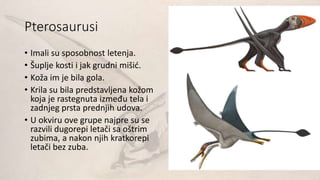 Pterosaurusi
• Imali su sposobnost letenja.
• Šuplje kosti i jak grudni mišić.
• Koža im je bila gola.
• Krila su bila predstavljena kožom
koja je rastegnuta između tela i
zadnjeg prsta prednjih udova.
• U okviru ove grupe najpre su se
razvili dugorepi letači sa oštrim
zubima, a nakon njih kratkorepi
letači bez zuba.
 