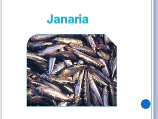 Izurdea Ppt Izurdea Ppt
