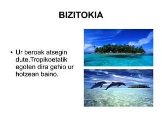 BIZITOKIA
● Ur beroak atsegin
dute.Tropikoetatik
egoten dira gehio ur
hotzean baino.
 