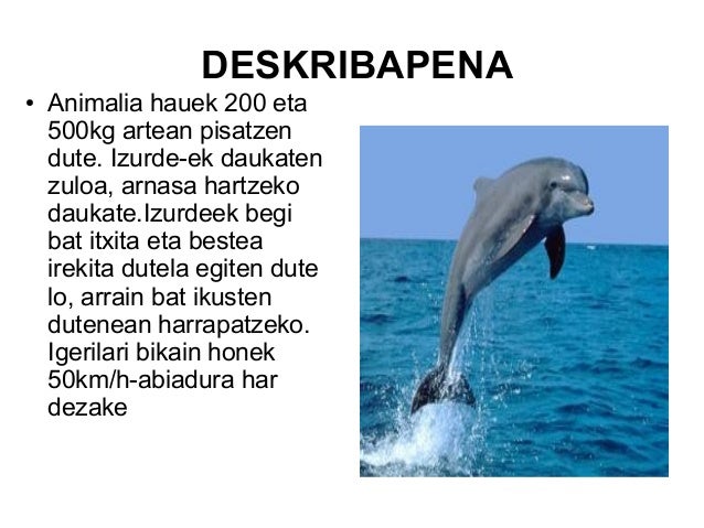 Izurdea Izurdea