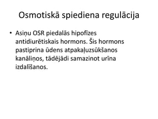 Osmotiskā spiediena regulācija
• Asiņu OSR piedalās hipofīzes
  antidiurētiskais hormons. Šis hormons
  pastiprina ūdens atpakaļuzsūkšanos
  kanāliņos, tādējādi samazinot urīna
  izdalīšanos.
 