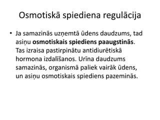 Osmotiskā spiediena regulācija
• Ja samazinās uzņemtā ūdens daudzums, tad
  asiņu osmotiskais spiediens paaugstinās.
  Tas izraisa pastirpinātu antidiurētiskā
  hormona izdalīšanos. Urīna daudzums
  samazinās, organismā paliek vairāk ūdens,
  un asiņu osmotiskais spiediens pazeminās.
 