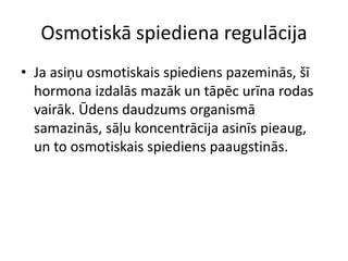 Osmotiskā spiediena regulācija
• Ja asiņu osmotiskais spiediens pazeminās, šī
  hormona izdalās mazāk un tāpēc urīna rodas
  vairāk. Ūdens daudzums organismā
  samazinās, sāļu koncentrācija asinīs pieaug,
  un to osmotiskais spiediens paaugstinās.
 